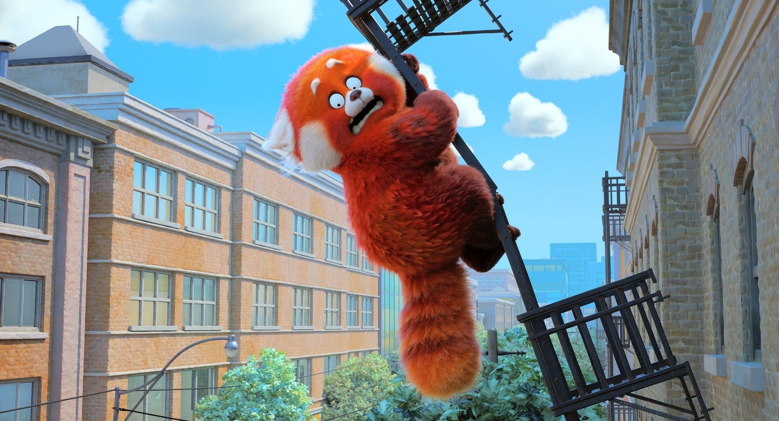 "To nie wypanda" – najnowsza animacja Disneya i Pixara już 10 sierpnia na DVD!