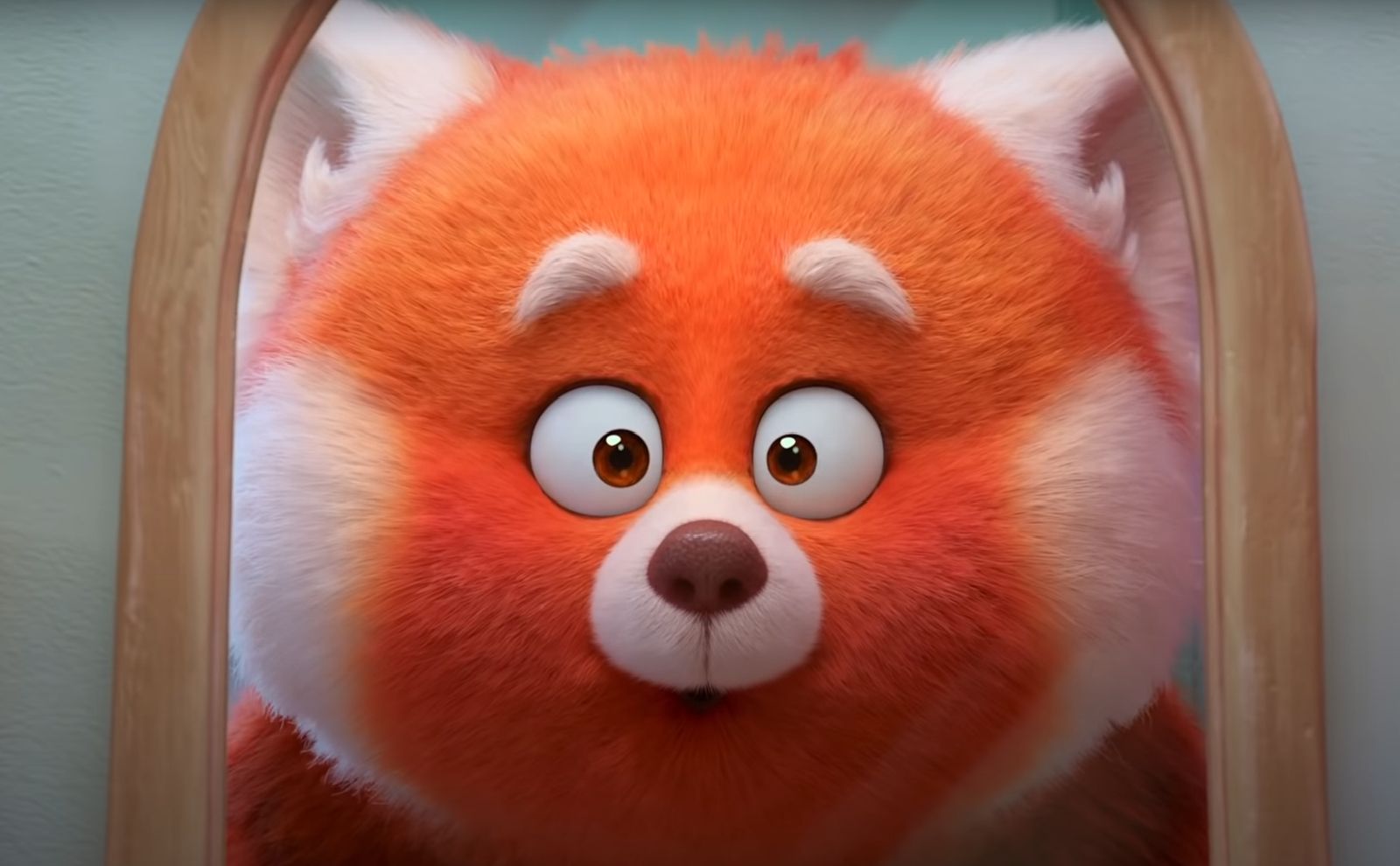 Obudź w sobie bestię, czyli recenzja „To nie wypanda”