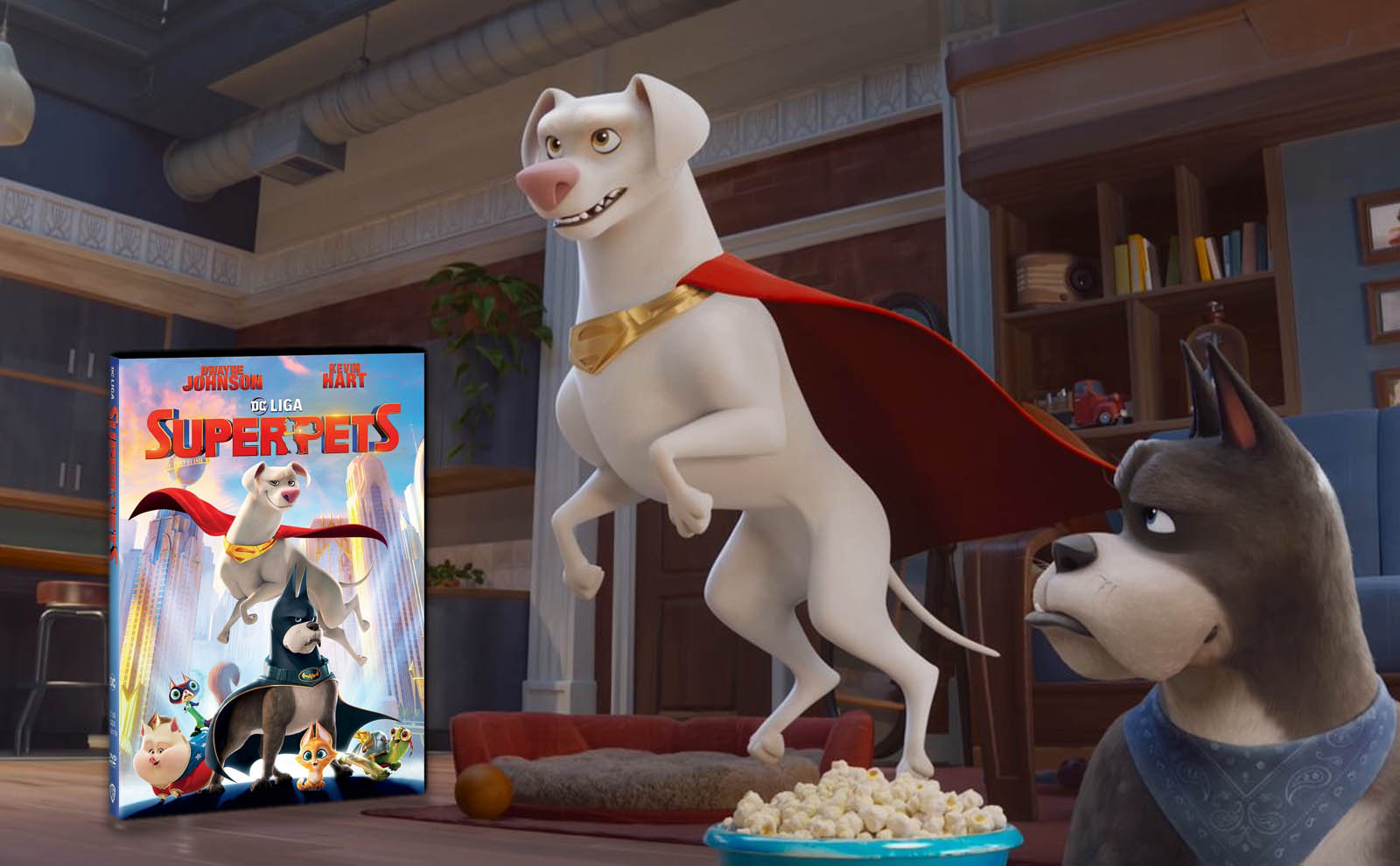 dc-liga-super-pets-dvd