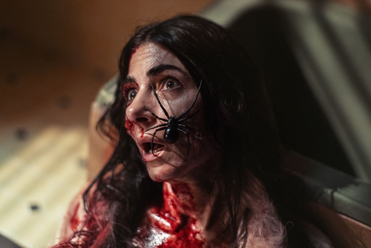 Zobaczcie zwiastun horroru „Gniazdo pająka”