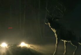 Bambi wkracza do Poohniverse! Zobaczcie zapowiedź filmu