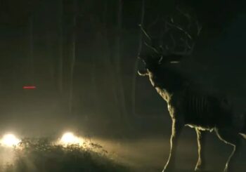 Bambi wkracza do Poohniverse! Zobaczcie zapowiedź filmu