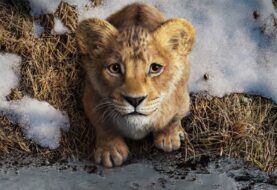 Disney prezentuje pierwszy trailer filmu "Mufasa: Król Lew"