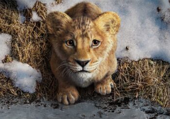 Disney prezentuje pierwszy trailer filmu "Mufasa: Król Lew"