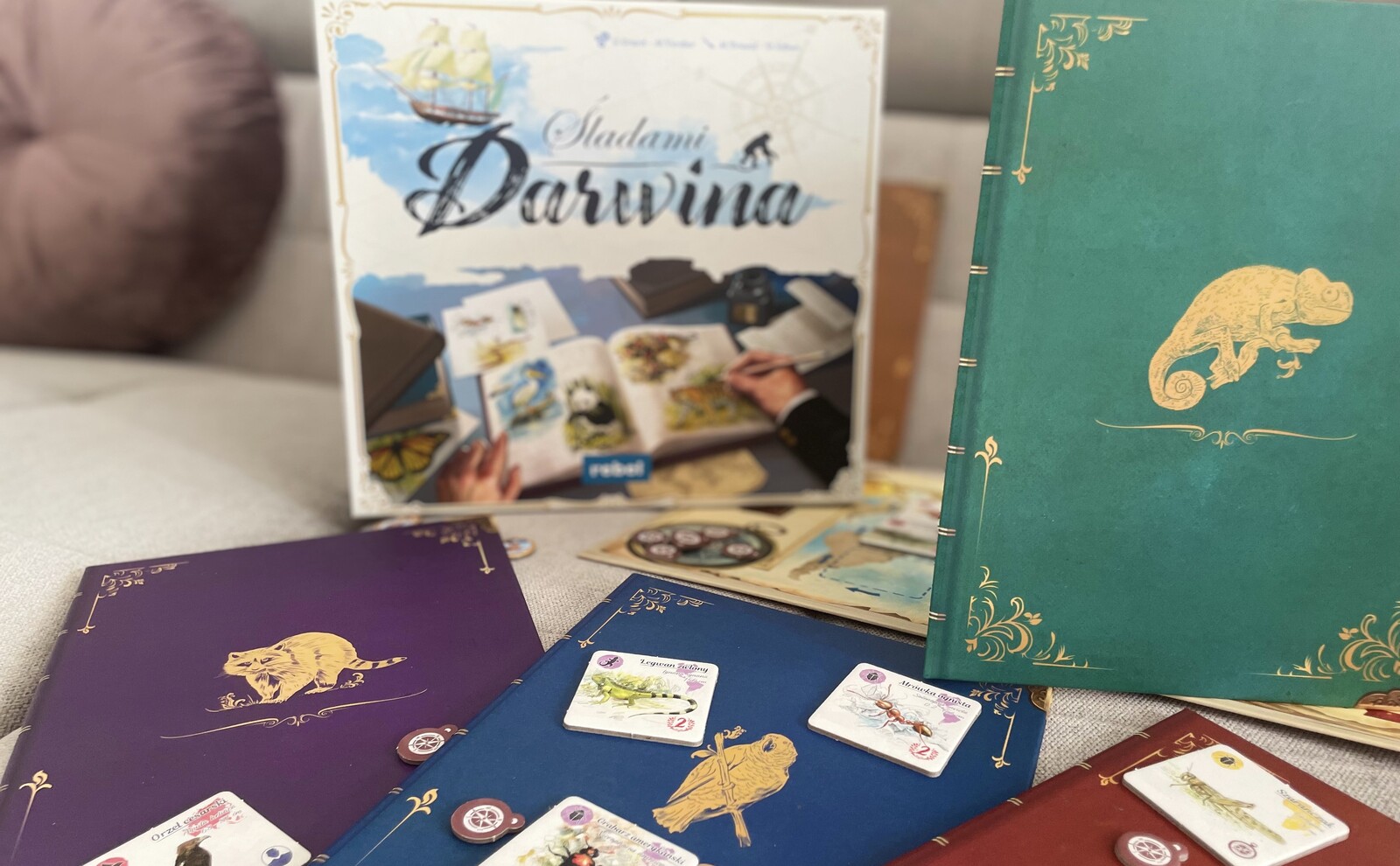 sladami_darwina0