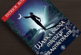 Warto zrobić rozeznanie, zanim się po coś sięgnie – recenzja książki „Wąska droga między pragnieniami”