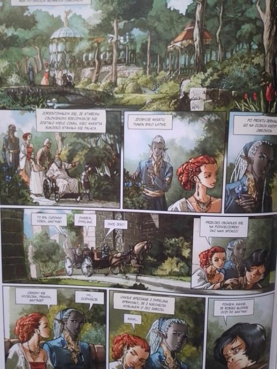 elfy-tom-10 (1)
