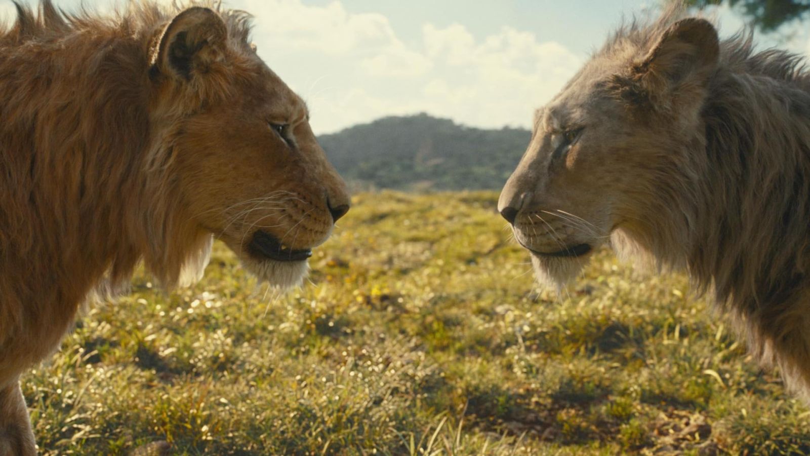 mufasa-krol-lew
