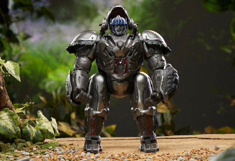transformers-6