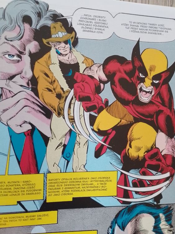 wolverine-powrot-do-podstaw (7)