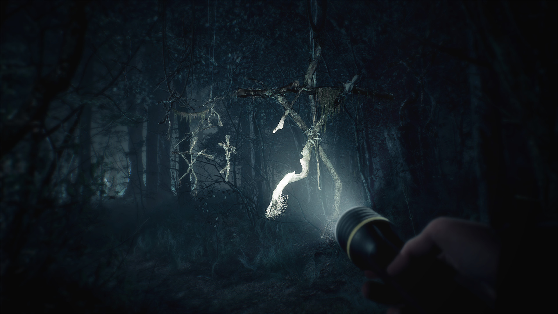 Blair witch 2