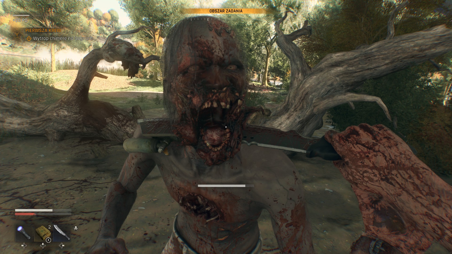 Dyinglight2