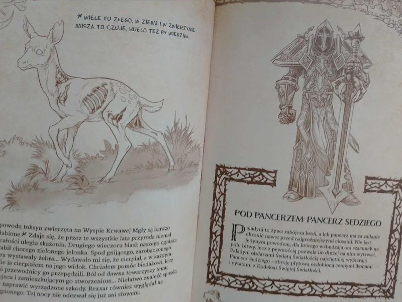 podroze-przez-azeroth-kalimdor (5)
