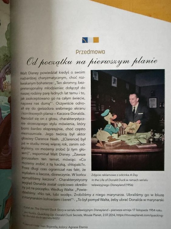 Wielcy_bohaterowie_disneya-kaczor-donald (3)