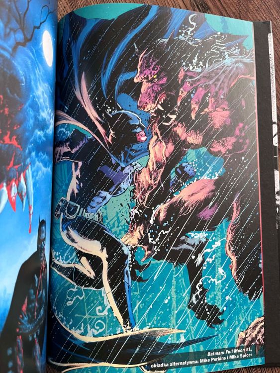 batman-pelnia (2)