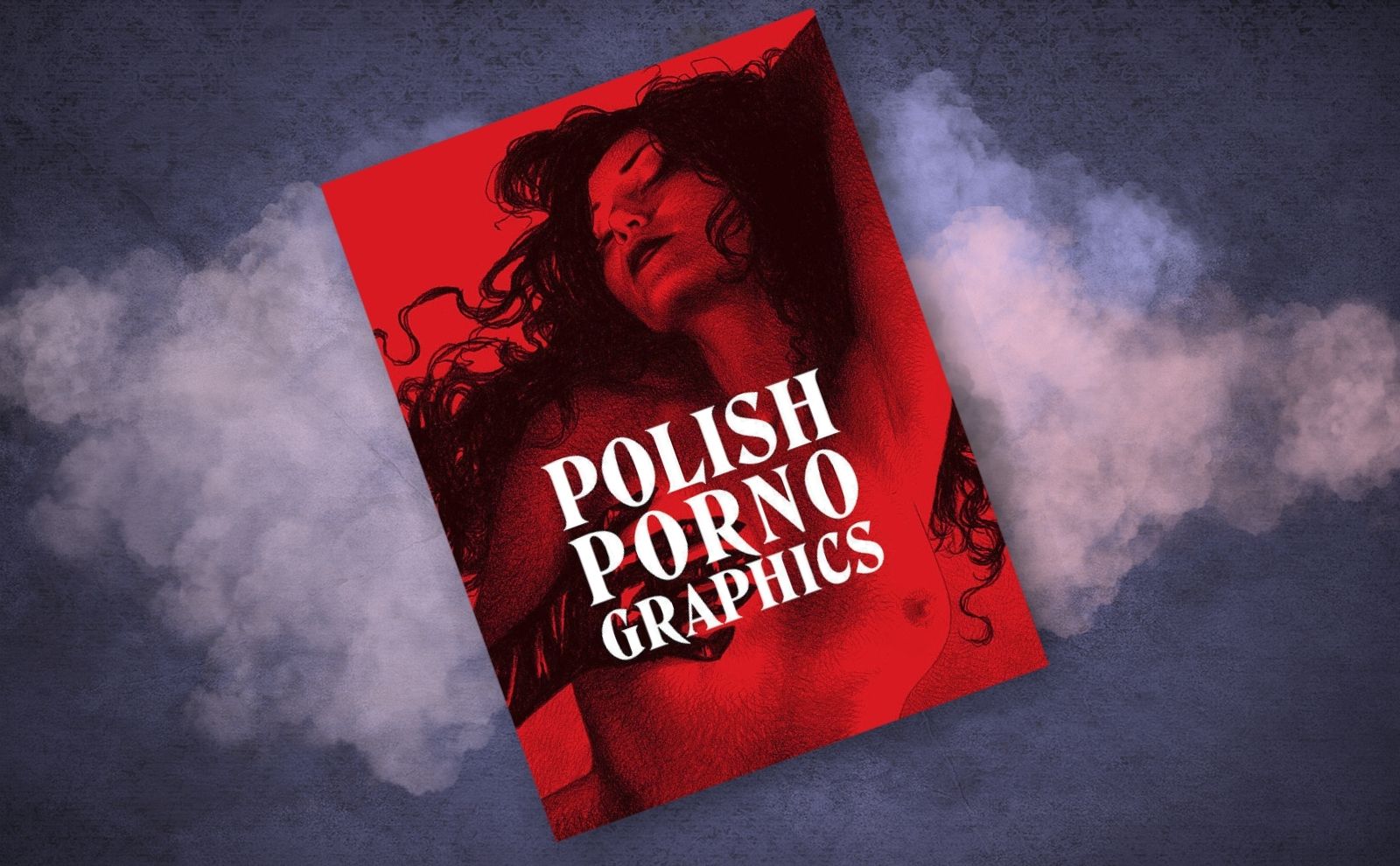 polish-porno-graphics (7)