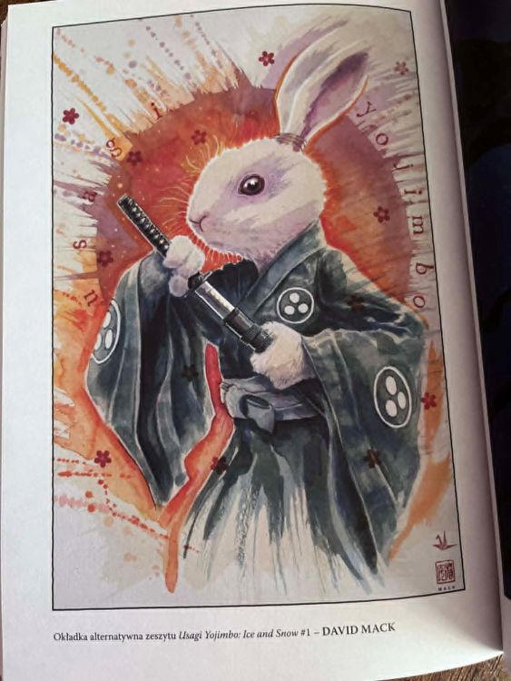 usagi-lod-i-snieg (3)