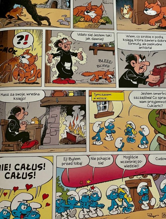 swiat-smerfow-niesamowita-smerfetka (3)